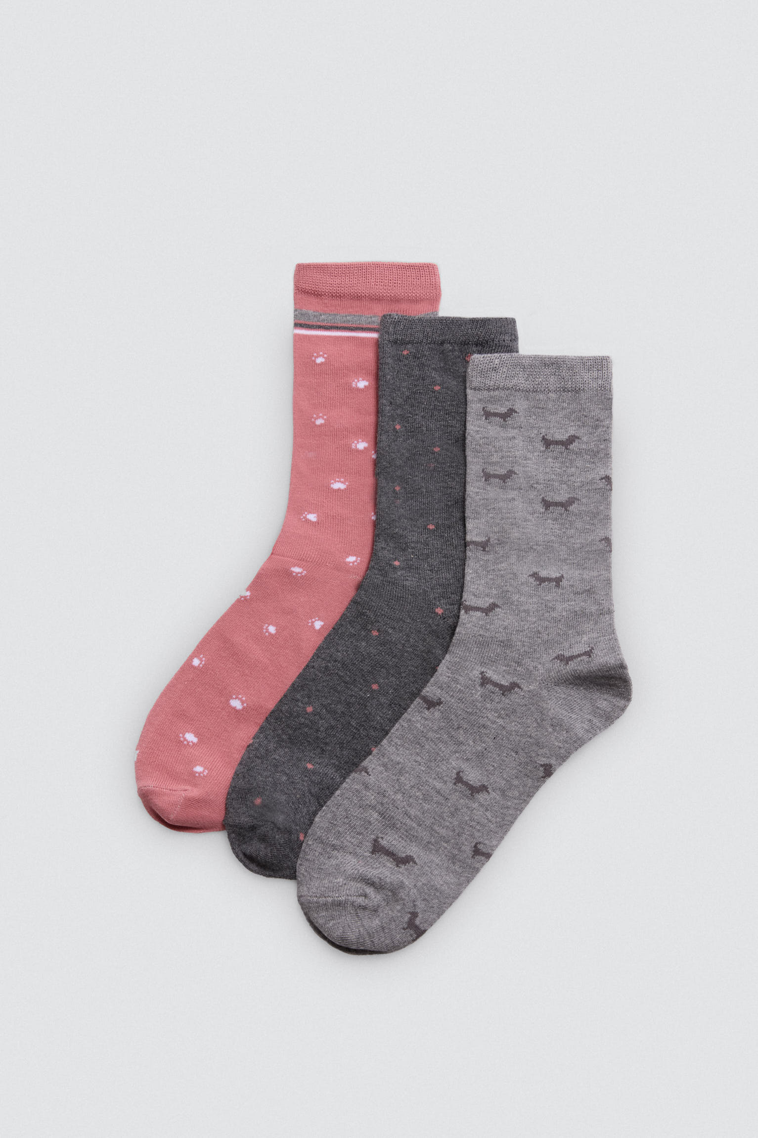 Pack 3 calcetines estampados mascotas