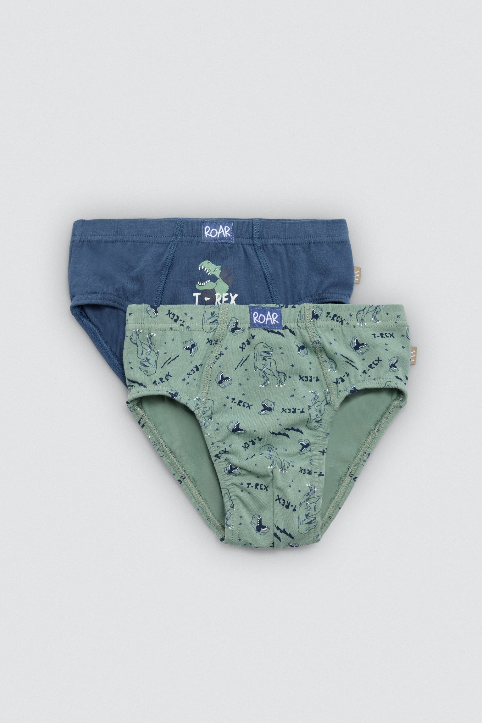 Pack 2 slips infantil algodón estampados Roar