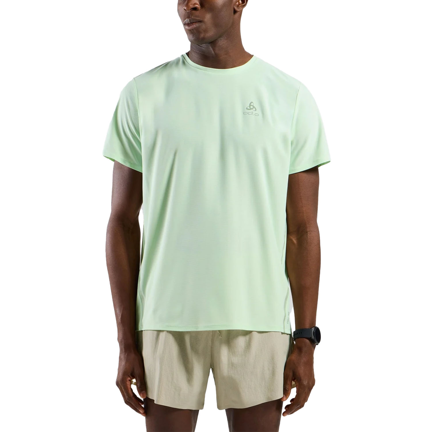 Odlo Zeroweight Chill-Tec Pro Camiseta Ambrosia