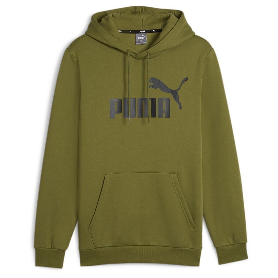 Sudadera con capucha ESS Big Logo FL (s) Verde oliva