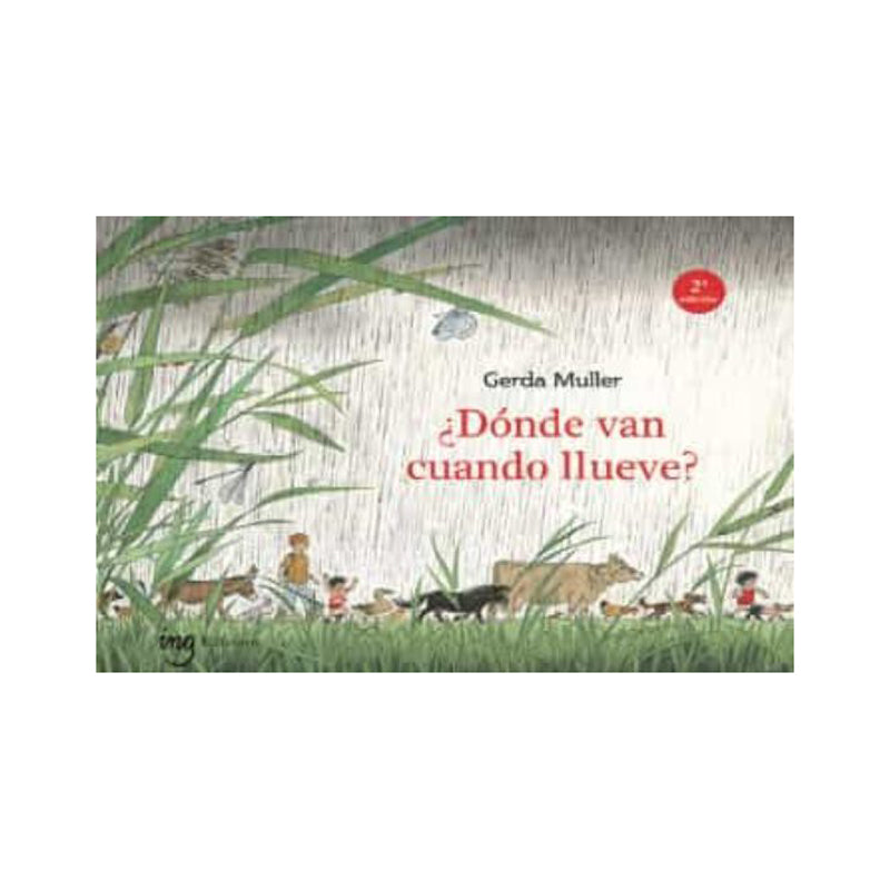 ¿Dónde van cuando llueve?