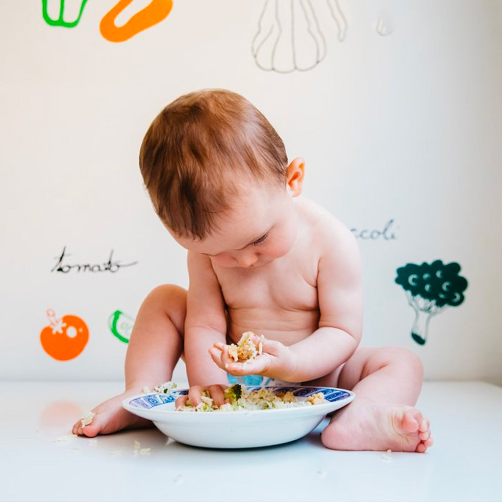 Asesoría personalizada de Alimentación Complementaria BLW