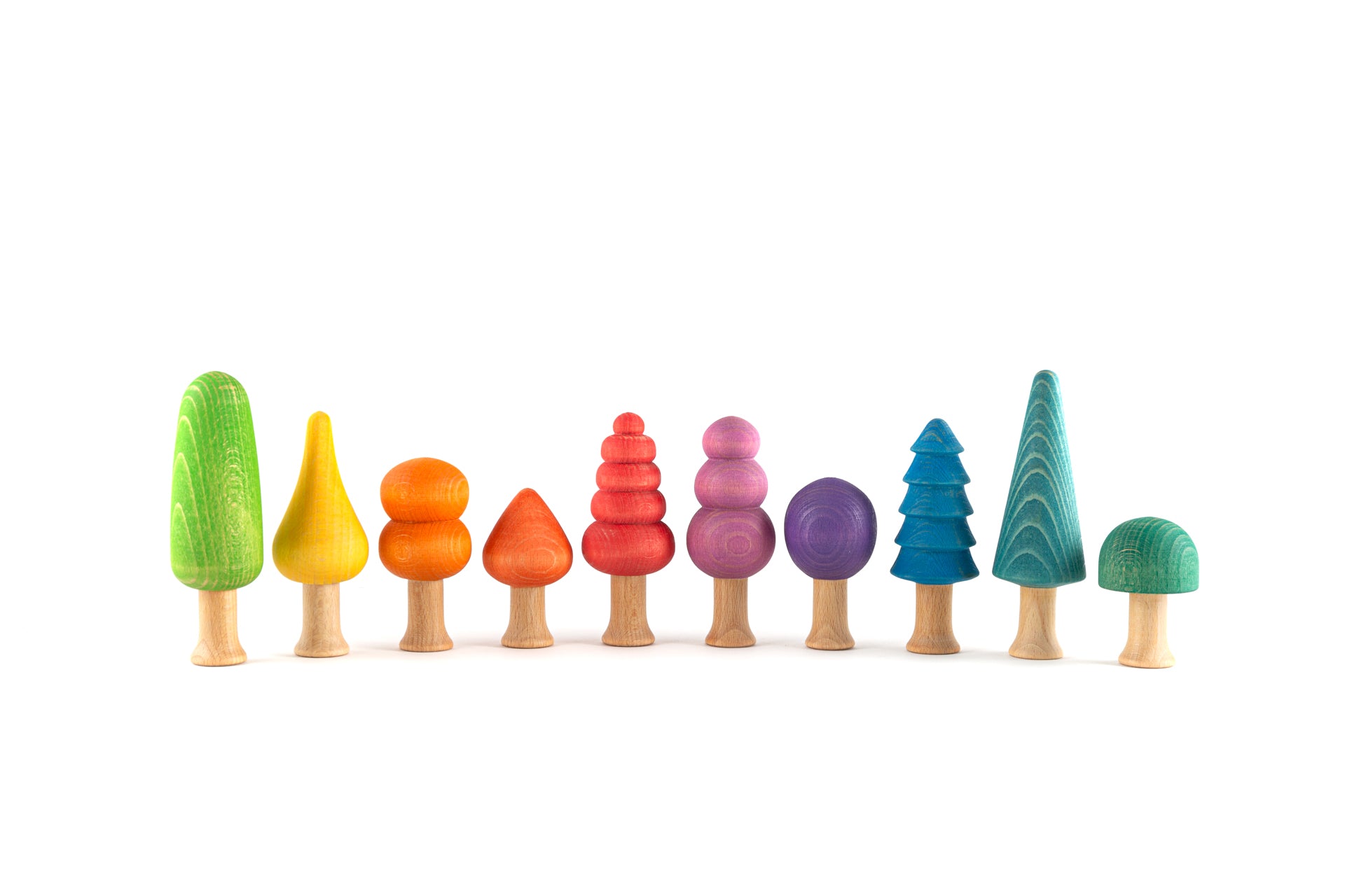 Bosque Arcoiris Ocamora