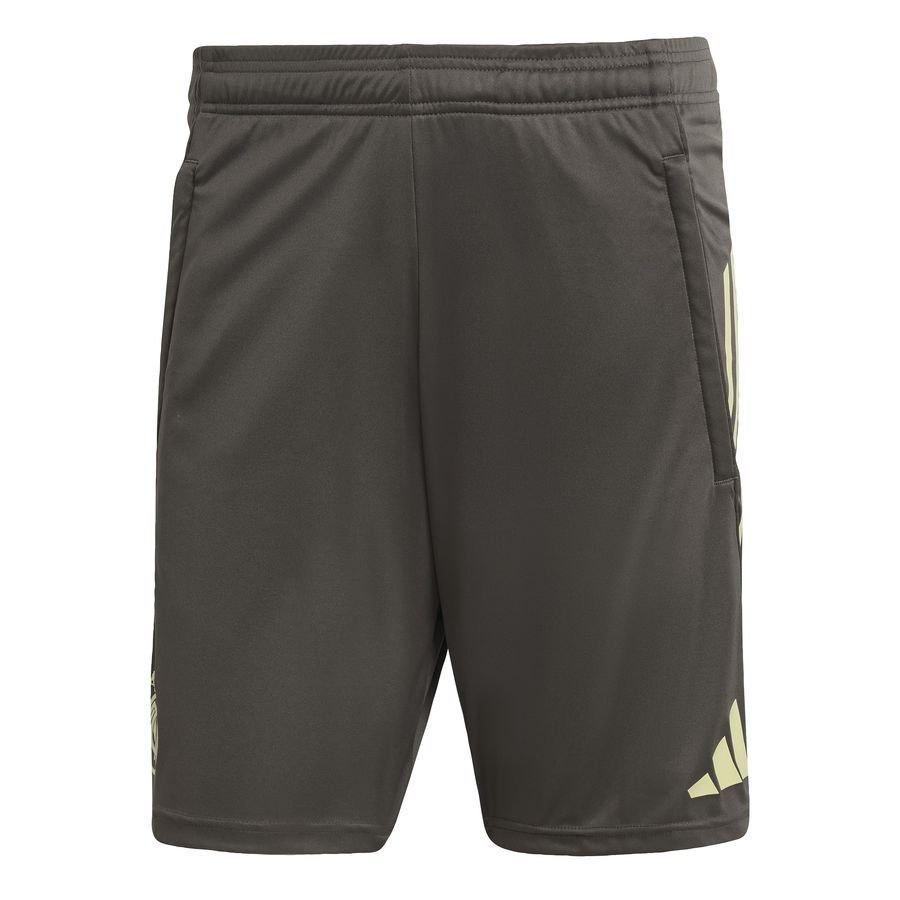 Real Madrid Pantalones cortos de entrenamiento Tiro 25 - Gray