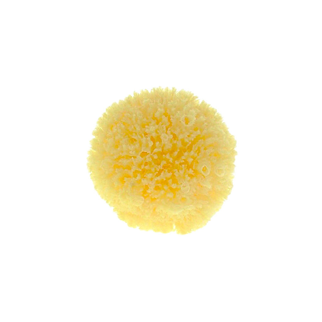 Esponja natural pequeña TheDida