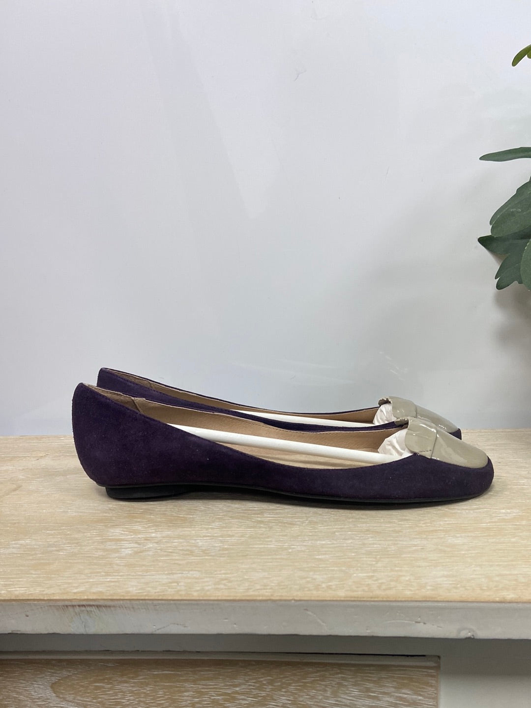 MUITT.Manoletinas bicolor T.39