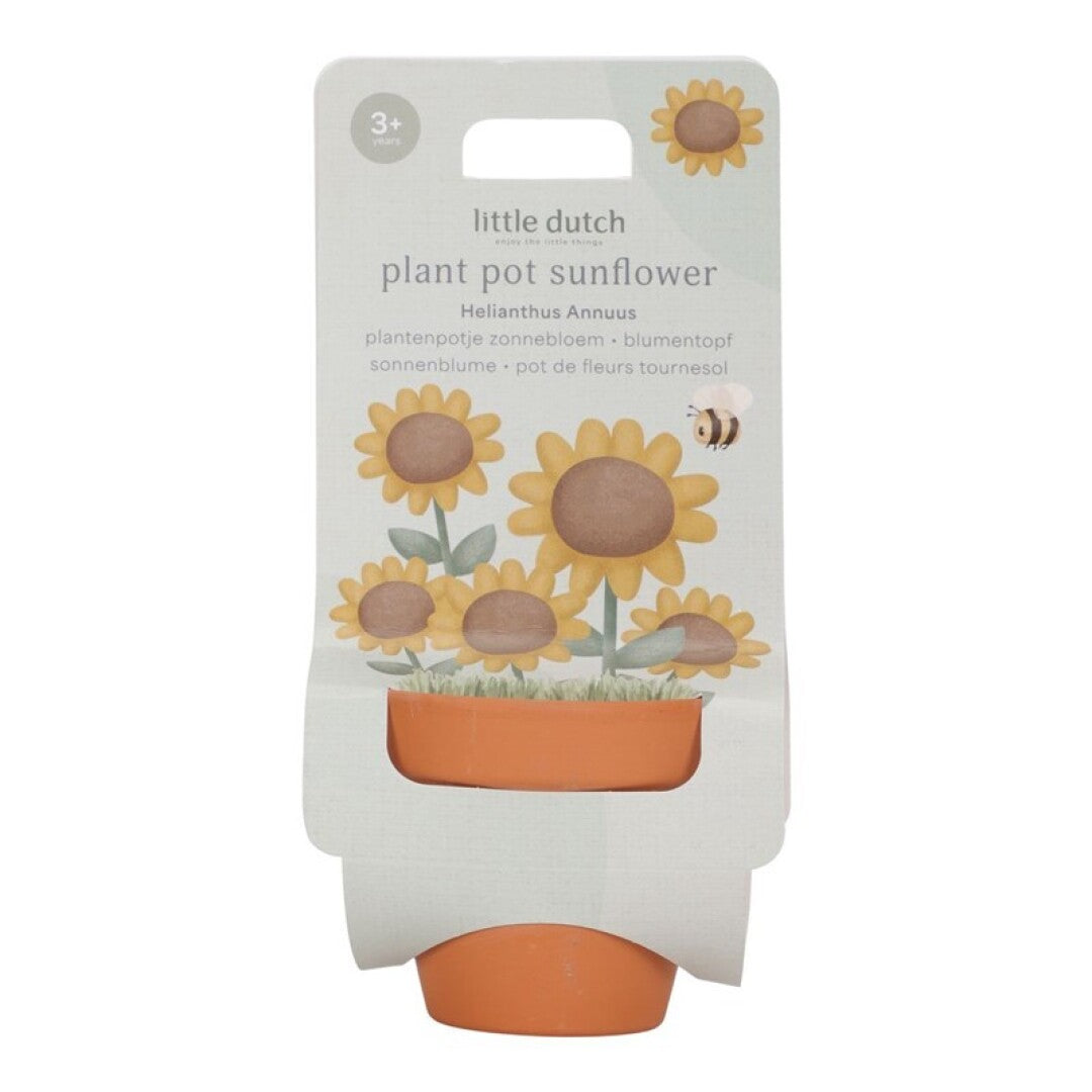 Maceta planta un girasol Little Dutch