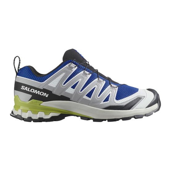 ZAPATILLAS SALOMON XA PRO 3D V9